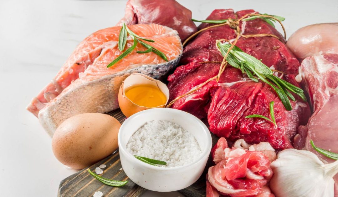 is-the-carnivore-diet-sustainable-long-term-full-analysis-tips